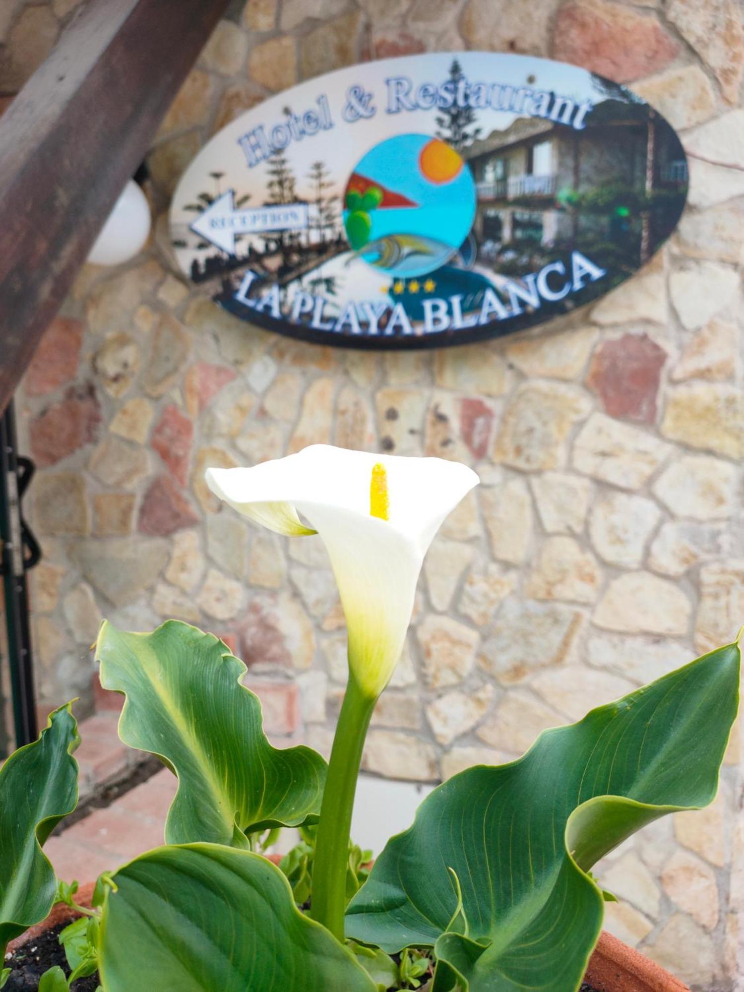 Hotel La Playa Blanca Santo Stefano di Camastra Exterior foto